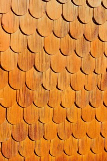 Larch shingle facade
