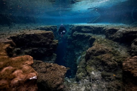 Diver at Little Devil in Santa Fe River