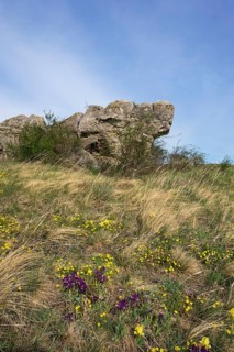 Holzlstein rock