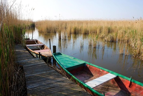 Fishing boat in the reeds on Lake Neusiedl