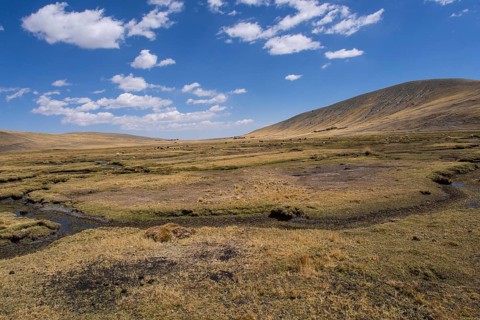 Bolivian plateau Altiplano
