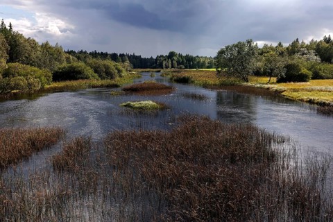 River Landscape