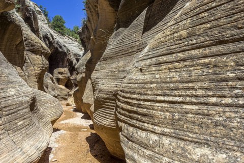 Hiking trail through Willis Creek Canyon