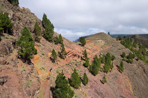 Camino La Merica trail
