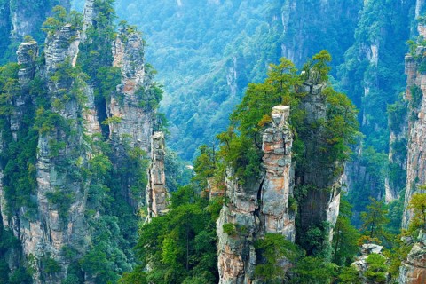Tianzishan mountain with vertical rock columns of quartz sandstone