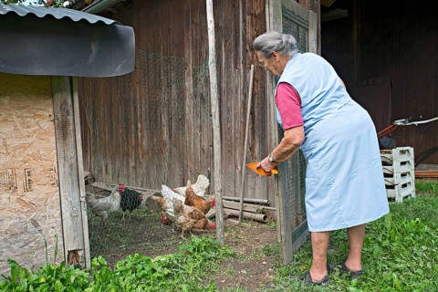 Farmer working on the farm