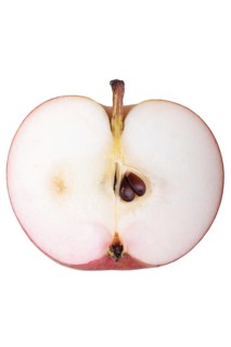 Apple variety Malvasia