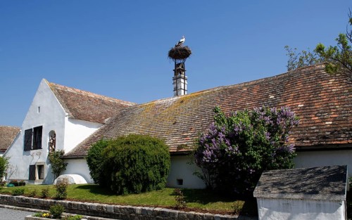 Farmhouse with a stork's nest