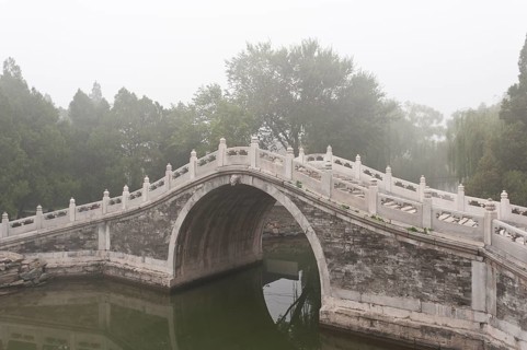 Fog