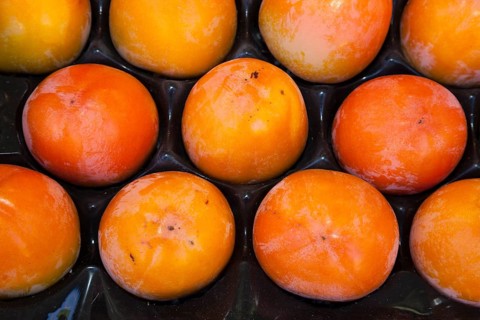 Persimmons (Diospyros kaki) in a fruit crate