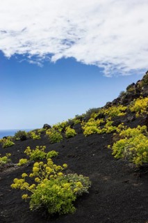 Volcano landschaft