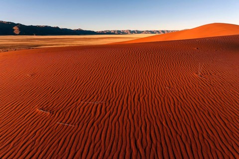 Sand dunes in the evening light