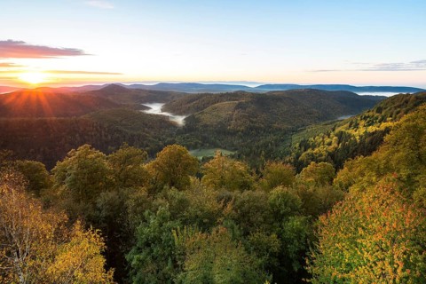 View of the Palatinate Forest from Wegelnburg Castle