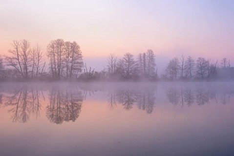 Morning atmosphere with morning fog at a pond