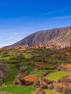 Ourika Valley
