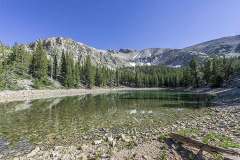 Teresa Lake