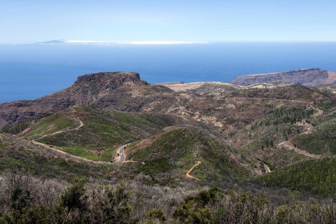View from the summit of Garajonay on charred shrubs