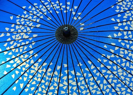 Traditional blue oil paper umbrella