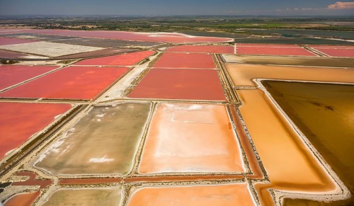 Salines