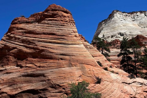 Petrified dunes