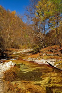 Ferruginous river in the Zhouzi Nature Reserve