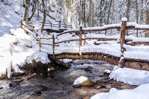 Boardwalk over the Strumpfelbach brook in winter