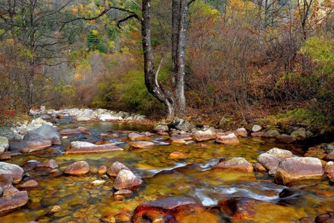 Ferruginous river in the Zhouzi Nature Reserve