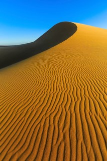 Dunes of the Namib Desert