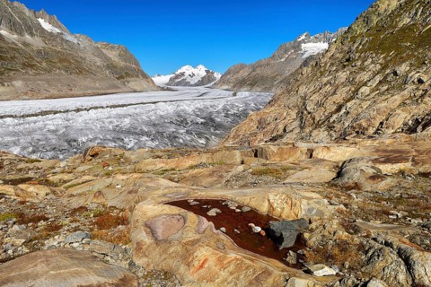 Great Aletsch Glacier