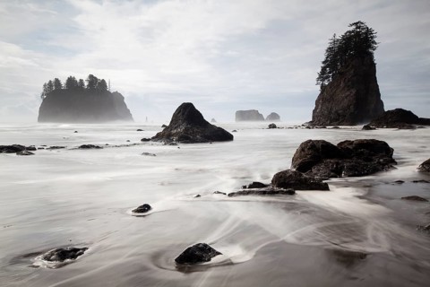 Sea stack on Second Beach in Olympic National Park