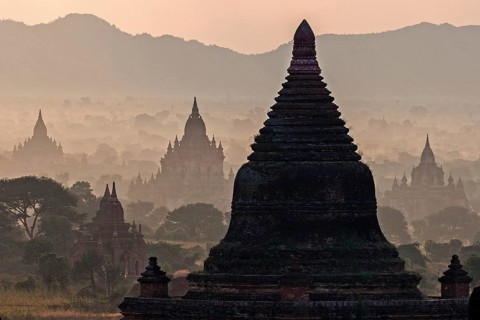 Pagoda field in the morning mist