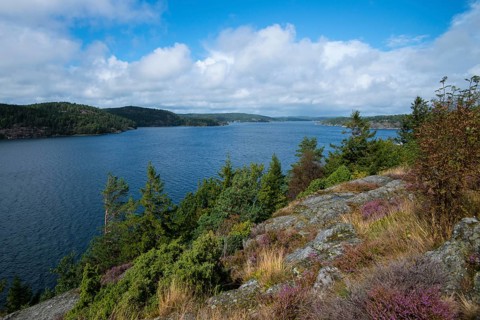 Islands in an archipelago