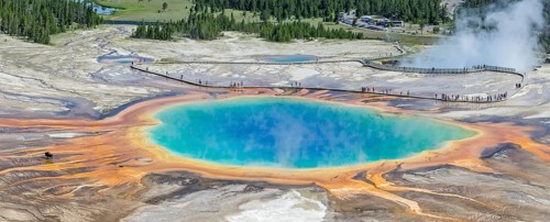 Sinter crust of the Grand Prismatic Spring