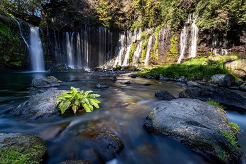 Shiraito Waterfall