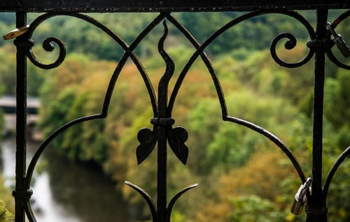 Wrought-iron gate in front of autumn forest