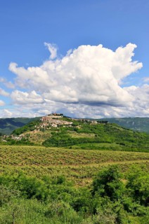 View across vineyards to the town with atmospheric clouds