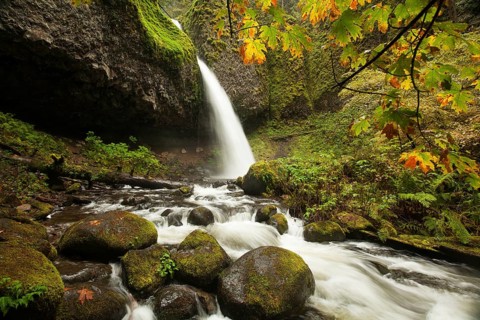 Ponytail Falls