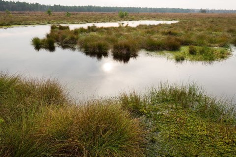 Moorlands