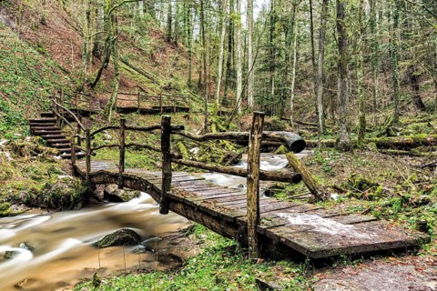 Strumpfelbach stream in winter