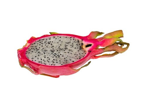 Pitahaya or Dragon Fruit (Hylocereus undatus)