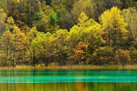 Five Flower Lake in autumnal environment