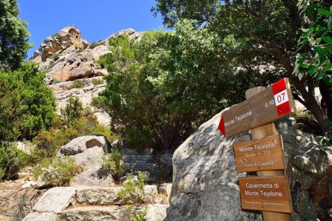 Guide to Monte Tejalone