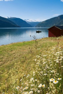 On Lustrafjord