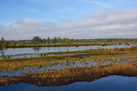 Waterlogged