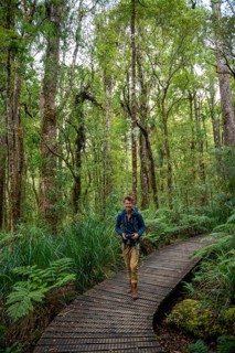 Young man on hiking trail in Kauri Forest