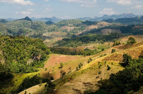 Harvested fields