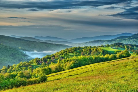 Landscape