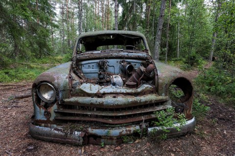 Junkyard in the forest