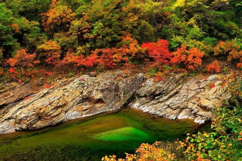 Black River in autumn landscape