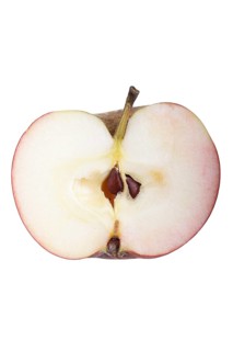 Apple variety Carola